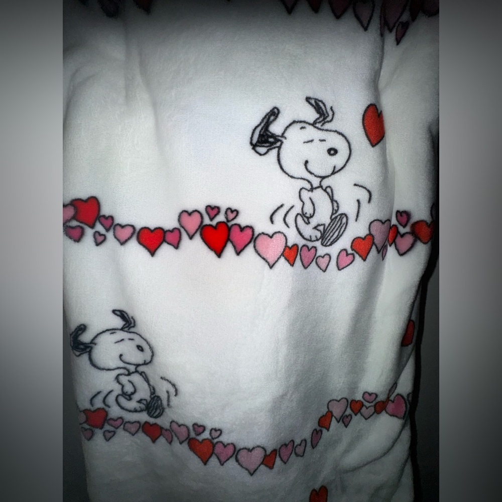 Snoopy V-Day Blanket - Picture 2 of 3